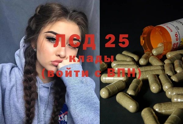 PSILOCYBIN Армянск