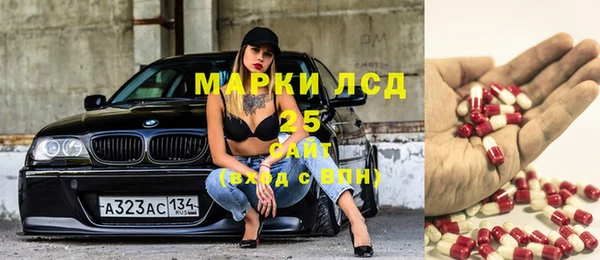 индика Алзамай