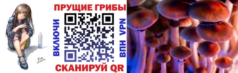 мега рабочий сайт закладки Верея Галлюциногенные грибы мухоморы